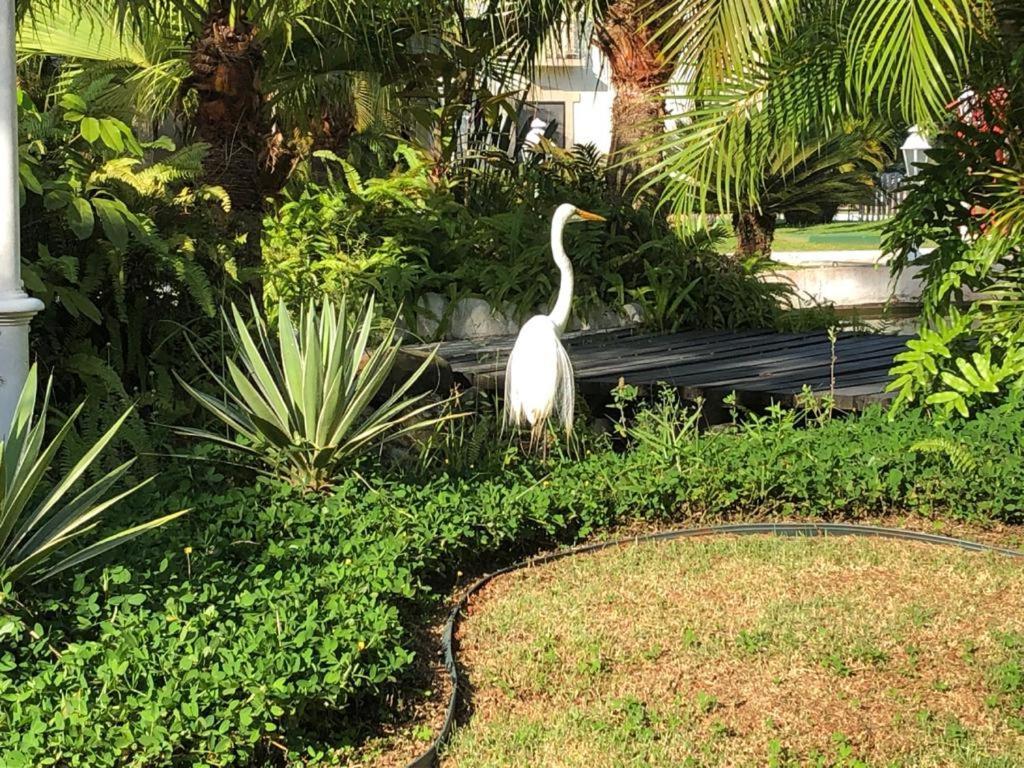 Apartment Wembley Tenis - Toninhas -